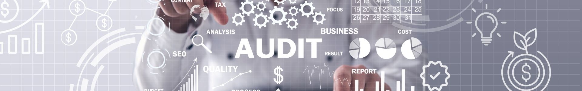 audit banner